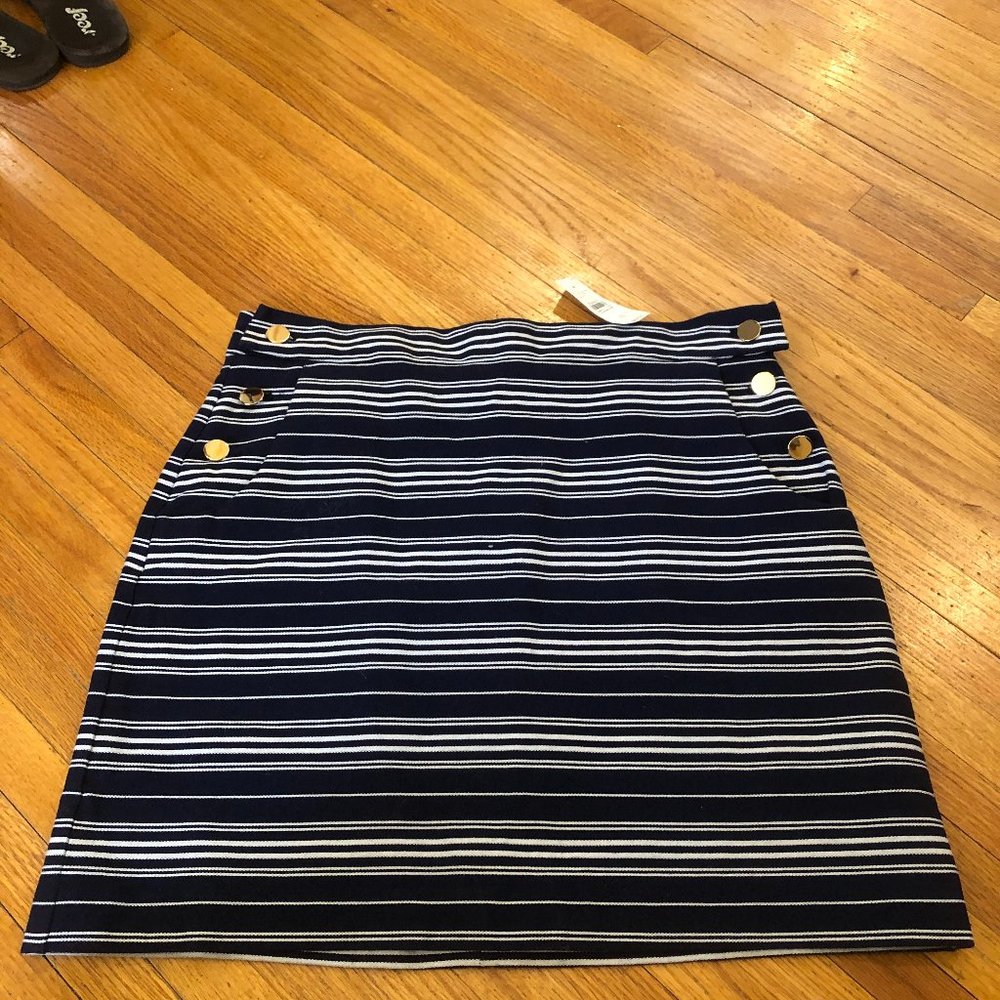 Loft Women's Skirt Size 8 Blue and White